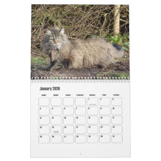 Noorse kattenkalender kalender (Jan 2026)