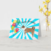 Noorse Lundehund op witte Starburst Verjaardag Kaart (Gele Bloem)