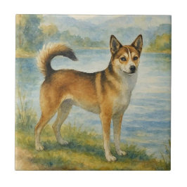 Noorse Lundehund Tegeltje