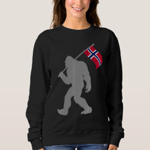 Noorse of Noorse vlag op Noorse vlag Trui