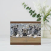 Noorse Puppies van Elkhound Briefkaart (Staand voorkant)