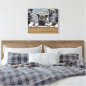 Noorse Puppies van Elkhound Canvas Afdruk (Insitu (Slaapkamer))