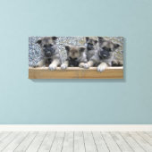 Noorse Puppies van Elkhound Canvas Afdruk (Insitu (Houten vloer))