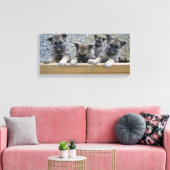 Noorse Puppies van Elkhound Canvas Afdruk (Insitu (Woonkamer))