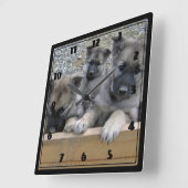 Noorse Puppies van Elkhound Vierkante Klok (Hoek)