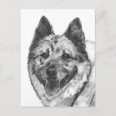 Noorse Schets Elkhound Briefkaart (Voorkant)