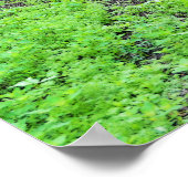 Noorse Schoolkinderen in Noors Folk Museum Poster (Hoek)