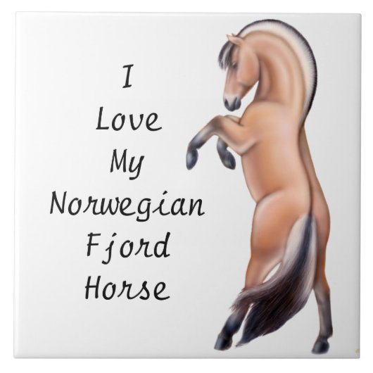 Noorse  tegel voor Fjord Horse Tegeltje (Voorkant)