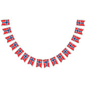 Noorse vlag en partij Noorwegen Banners / bruiloft (Alle)