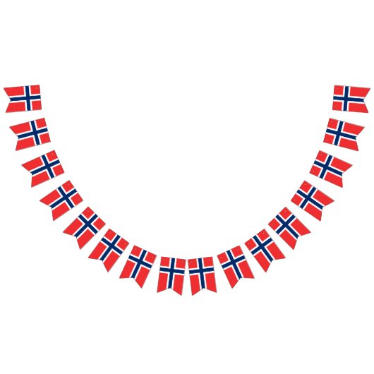 Noorse vlag en partij Noorwegen Banners / bruiloft (Alle)