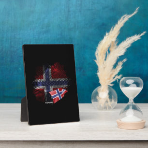 Noorse vlag fotoplaat