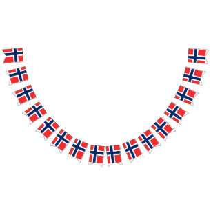 Noorse vlag vlaggetjes