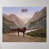 Noorse vrouw in een paardenkoets poster (Voorkant)