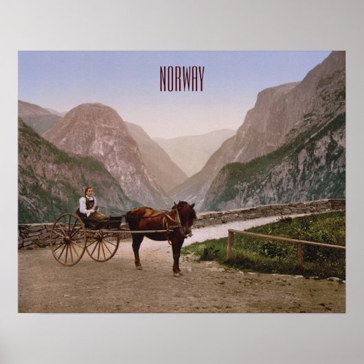 Noorse vrouw in een paardenkoets poster (Voorkant)