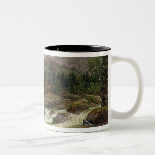 Noorse waterval, 1840 tweekleurige koffiemok