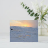 Noorse winter briefkaart (Staand voorkant)