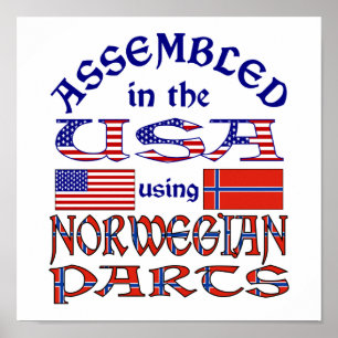 Noorwegen en de Noorse vlag Poster