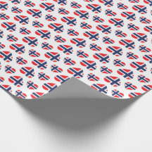 NOORWEGEN HARTVORM VLAG