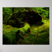 Noorwegen in het hout poster (Voorkant)