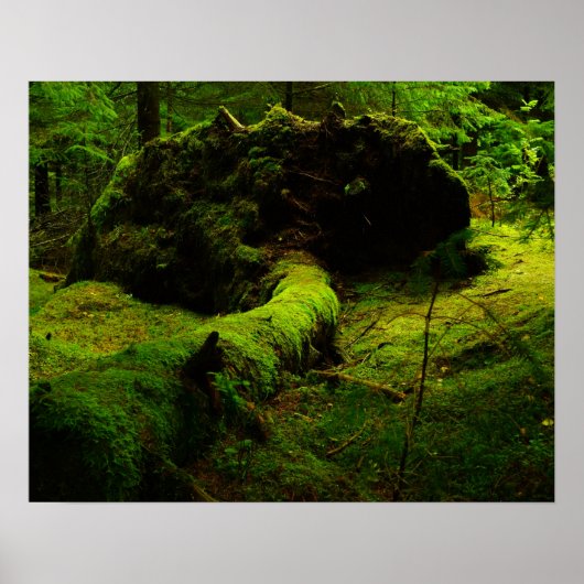 Noorwegen in het hout poster (Voorkant)