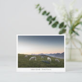 Noorwegen Lofoten Sheep Briefkaart (Staand voorkant)