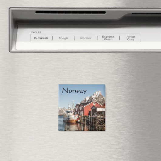 Noorwegen Magnet (Insitu (Vaatwasser))