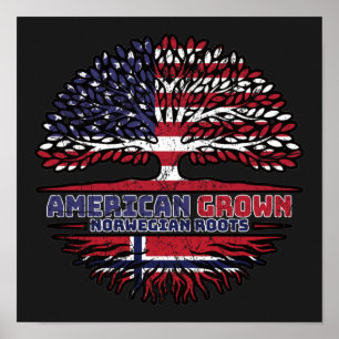 Noorwegen - Noorse Amerikaanse Verenigde Staten Ve Poster