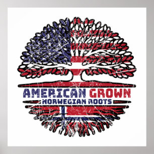 Noorwegen - Noorse Amerikaanse Verenigde Staten Ve Poster