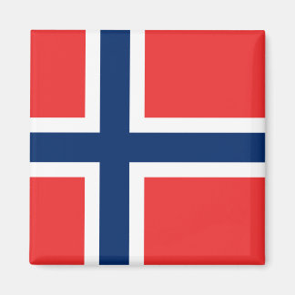Noorwegen - Noorse vlag Magneet