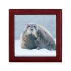 Noorwegen, Spitsbergen 4