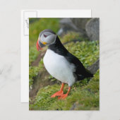 Noorwegen, Spitsbergen 9 Briefkaart (Voorkant / Achterkant)