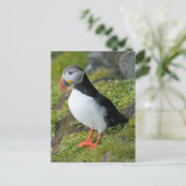 Noorwegen, Spitsbergen 9 Briefkaart (Staand voorkant)