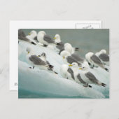 Noorwegen, Spitsbergen, Spitsbergen Briefkaart (Voorkant / Achterkant)