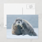 Noorwegen, Svalbard-archipel, Spitsbergen 4 Briefkaart (Voorkant / Achterkant)