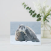 Noorwegen, Svalbard-archipel, Spitsbergen 4 Briefkaart (Staand voorkant)