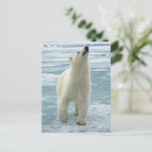 Noorwegen, Svalbard Archipel, Spitsbergen 8 Briefkaart (Staand voorkant)