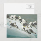 Noorwegen, Svalbard-archipel, Spitsbergen Briefkaart (Voorkant / Achterkant)