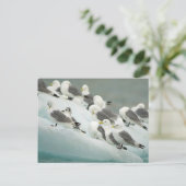 Noorwegen, Svalbard-archipel, Spitsbergen Briefkaart (Staand voorkant)