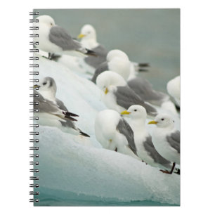 Noorwegen, Svalbard-archipel, Spitsbergen Notitieboek