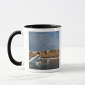 Noorwegen, Svalbard, Spitsbergen eiland, Zonsonder Mok (Links)