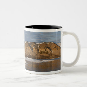 Noorwegen, Svalbard, Spitsbergen eiland, Zonsonder Tweekleurige Koffiemok