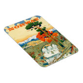 Noorwegen, waterval onder de brug, magneet (Rechterzijde)