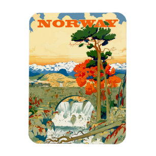 Noorwegen, waterval onder de brug, magneet