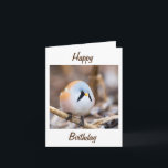 "NOORWEGFOT" TWEETS UIT HAPPY BIRTHDAY FRIEND KAART<br><div class="desc">BEDANKT OM TE STOPPEN MET EEN VAN MIJN ACHT STORES!</div>
