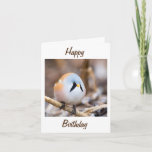 "NOORWEGFOT" TWEETS UIT HAPPY BIRTHDAY FRIEND KAART<br><div class="desc">BEDANKT OM TE STOPPEN MET EEN VAN MIJN ACHT STORES!</div>