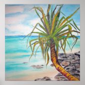 Noosa Pandanas Poster (Voorkant)