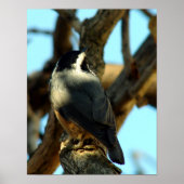 Noot 10/28/07 poster (Voorkant)