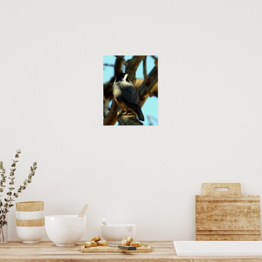 Noot 10/28/07 poster (Keuken)