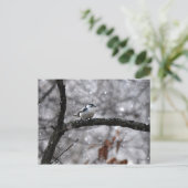 Noot in het sneeuwBriefkaart Briefkaart (Staand voorkant)