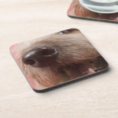 Noot van de hond onderzetter (Linkerzijde)